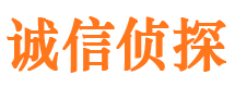 达日侦探